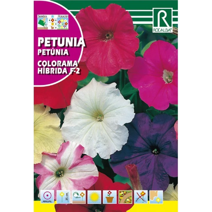 SEMILLA PETUNIA COLORAMA / BEST GARDEN  2