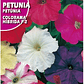 SEMILLA PETUNIA COLORAMA /BEST GARDEN  - Miniatura 2