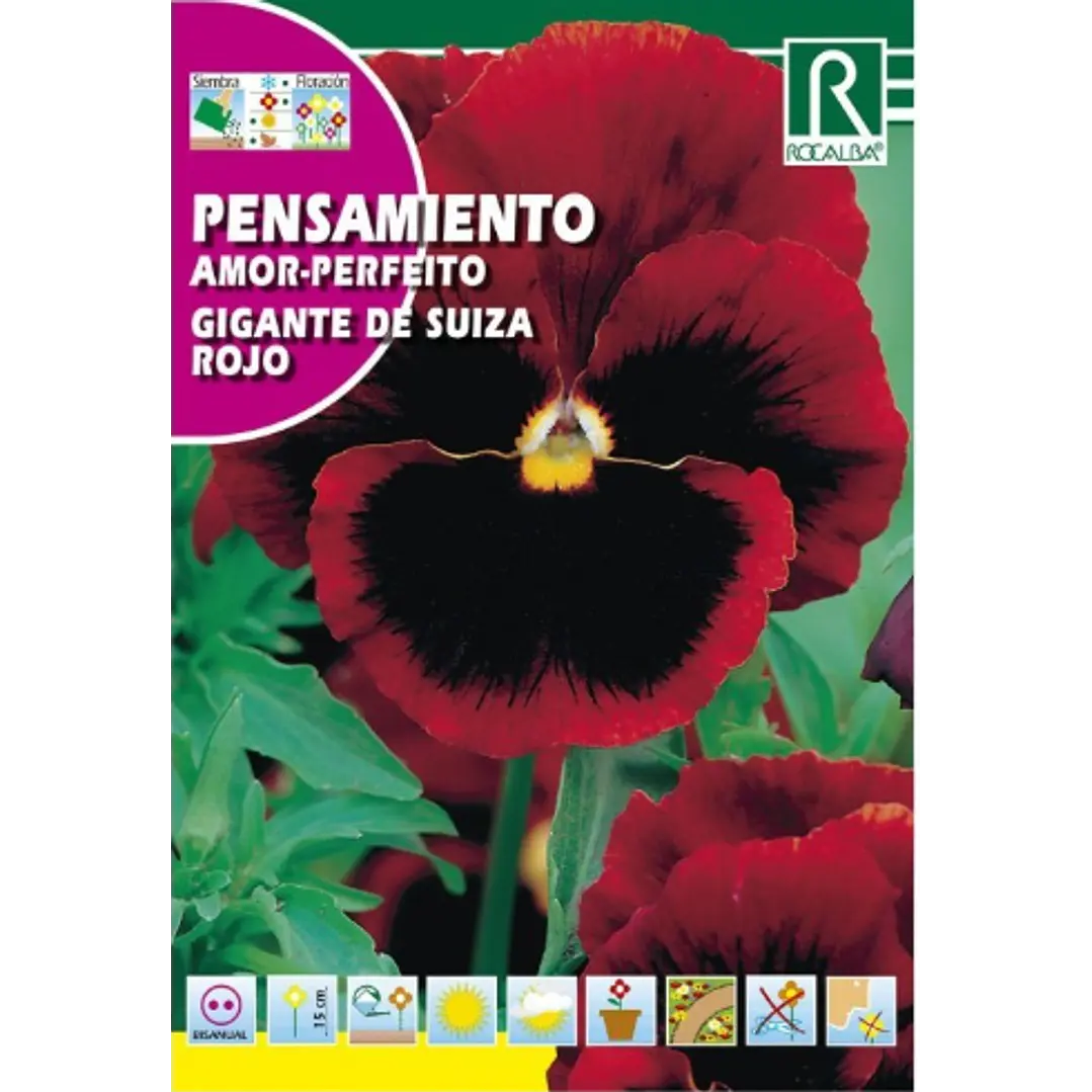 ROCALBA SEMILLA PENSAMIENTO ROJO 2