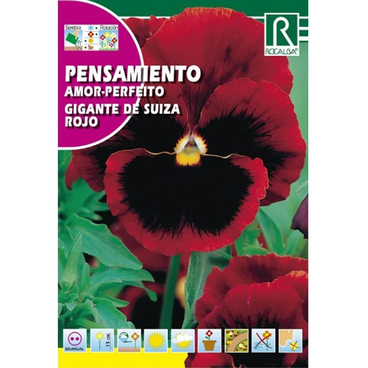 ROCALBA SEMILLA PENSAMIENTO ROJO 2