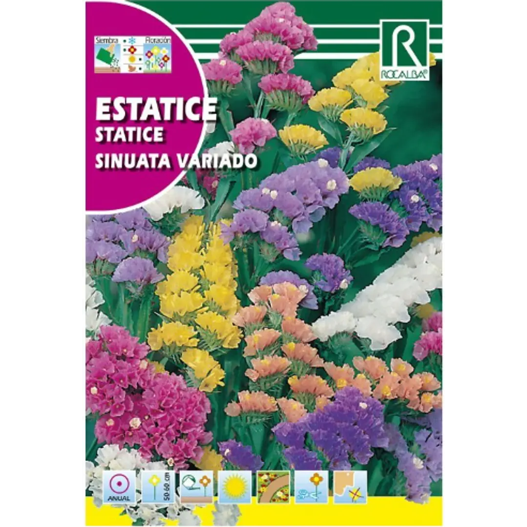 ROCALBA SEMILLA ESTATICE SINUATA VARIADO 2