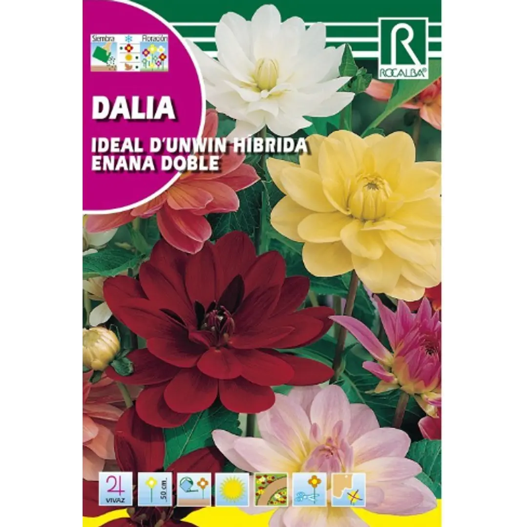 ROCALBA SEMILLA DALIA IDEAL 2