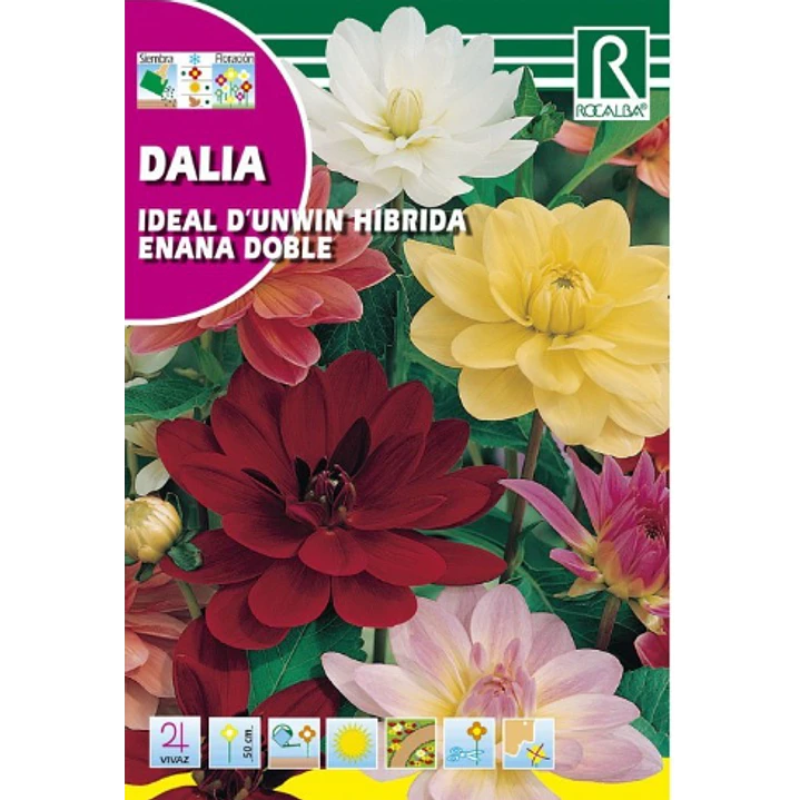 ROCALBA SEMILLA DALIA IDEAL 2