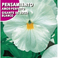 ROCALBA SEMILLA PENSAMIENTO BLANCO 0.5 GRAMOS/BEST GARDEN  - Miniatura 2