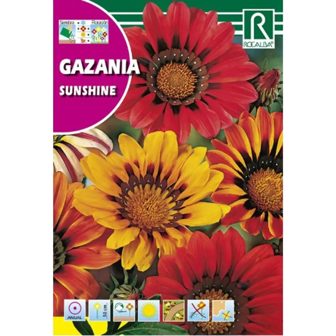 ROCALBA SEMILLA GAZANIA  2