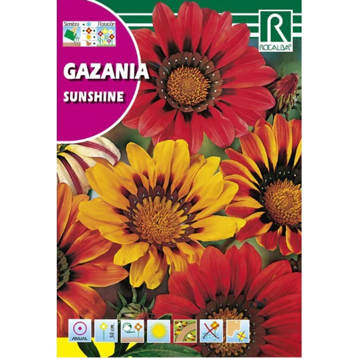 ROCALBA SEMILLA GAZANIA  2