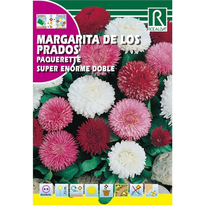 ROCALBA SEMILLA MARGARITA DE LOS PRADOS 2