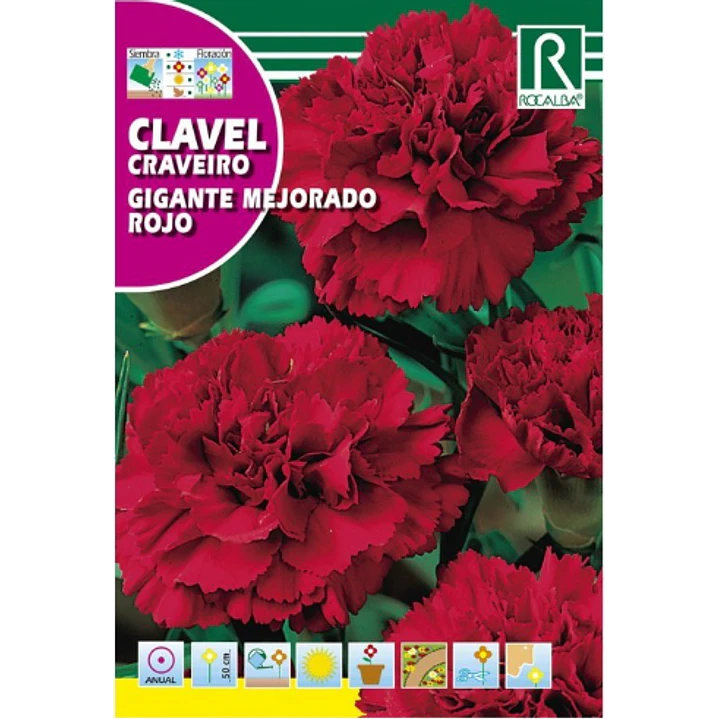 ROCALBA SEMILLA CLAVEL GIGANTE ROJO 2