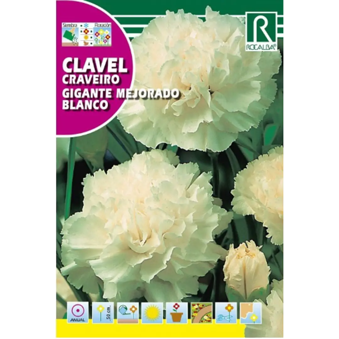 ROCALBA SEMILLA CLAVEL GIGANTE BLANCO 2