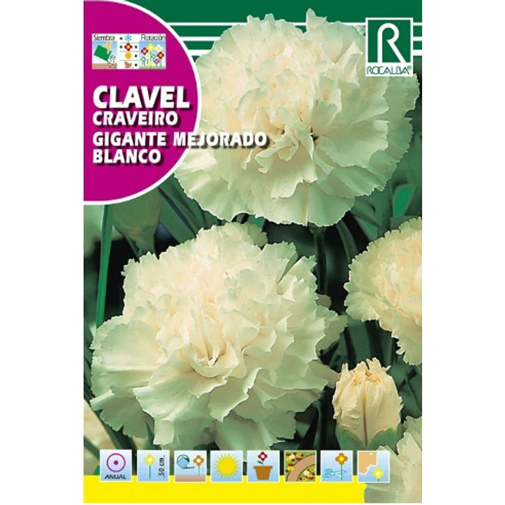 ROCALBA SEMILLA CLAVEL GIGANTE BLANCO 2