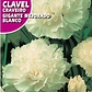 ROCALBA SEMILLA CLAVEL GIGANTE BLANCO 1 GR / BEST GARDEN  - Miniatura 2
