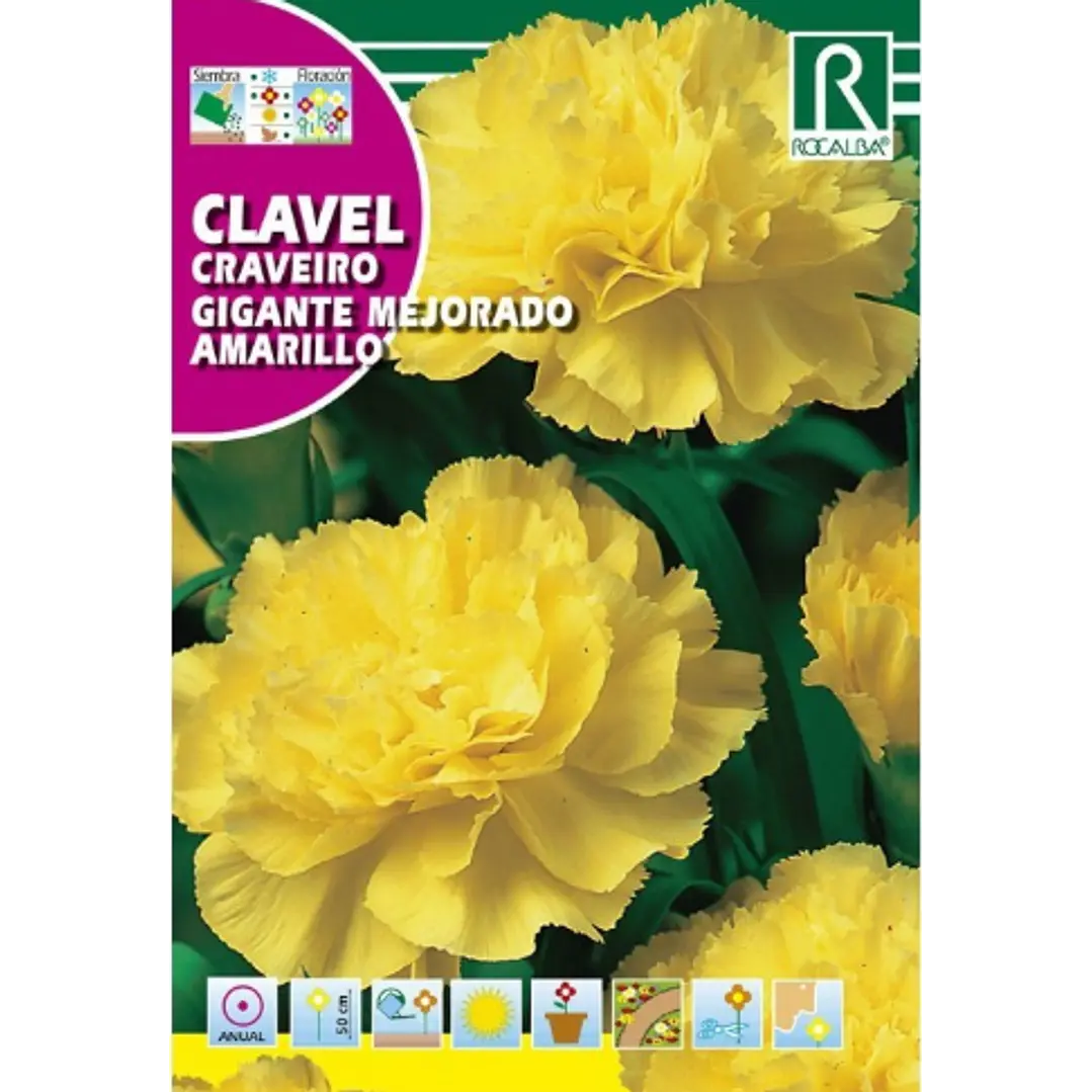 ROCALBA SEMILLA CLAVEL GIGANTE AMARILLO 2