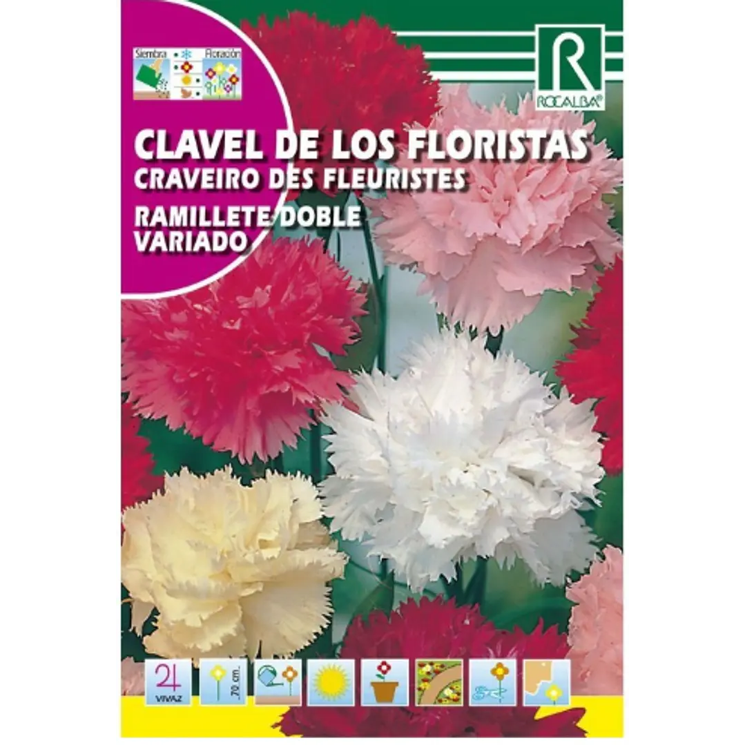 ROCALBA SEMILLA CLAVEL DE LOS FLORISTAS 2