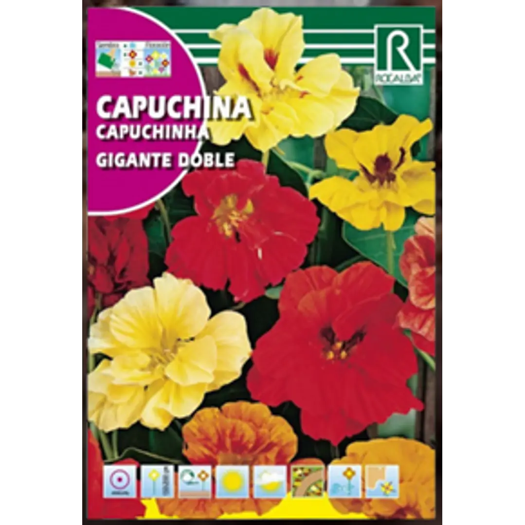 SEMILLA CAPUCHINA GIGANTE DOBLE 10 GRS / BEST GARDEN  2