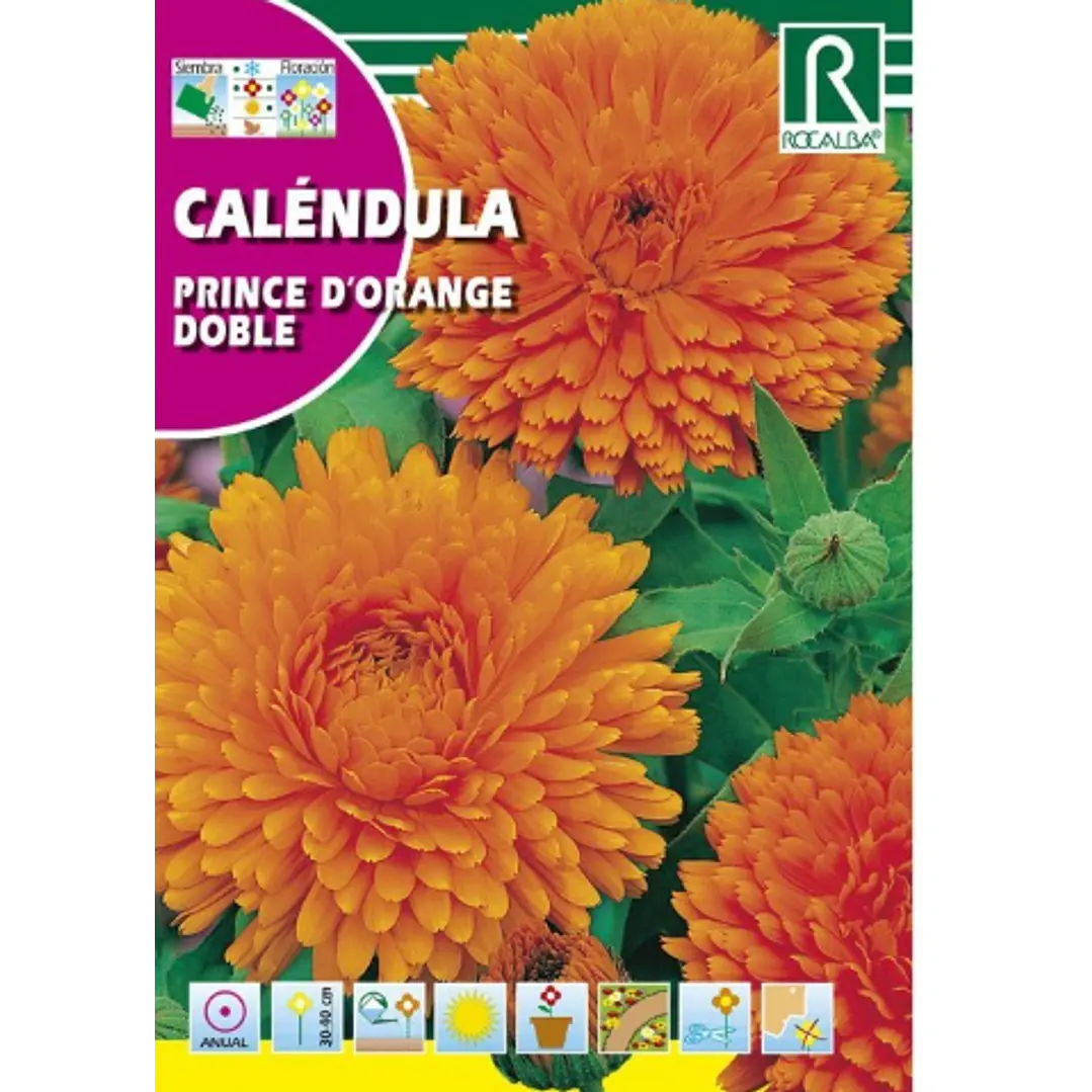 ROCALBA SEMILLA CALÉNDULA PRINCE 2