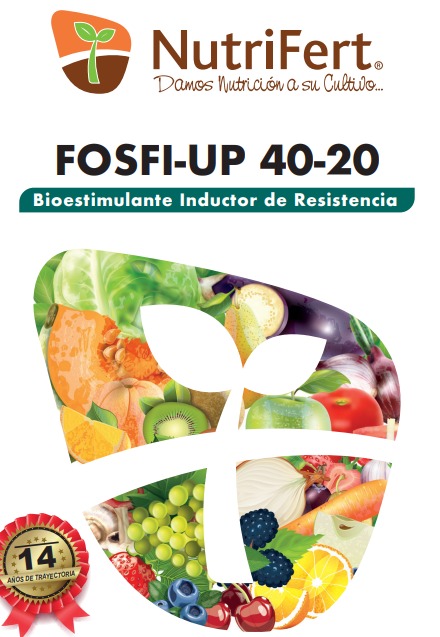 FOSFIP-UP-40 -20 ( 1 LITRO )
