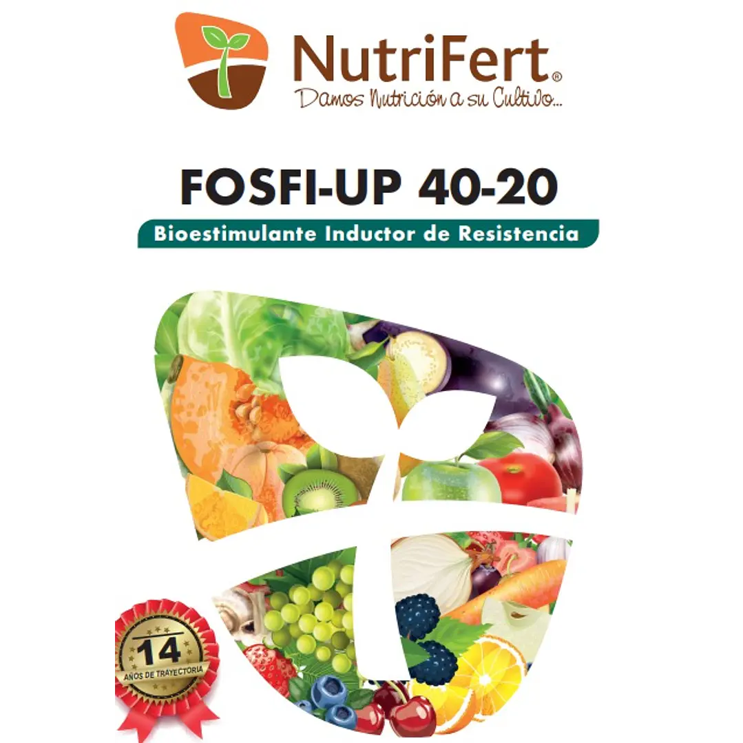 FOSFIP-UP-40 -20 ( 1 LITRO ) 1