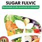 NUTRIFERT SUGAR FULVIC 20 LITROS  - Miniatura 2