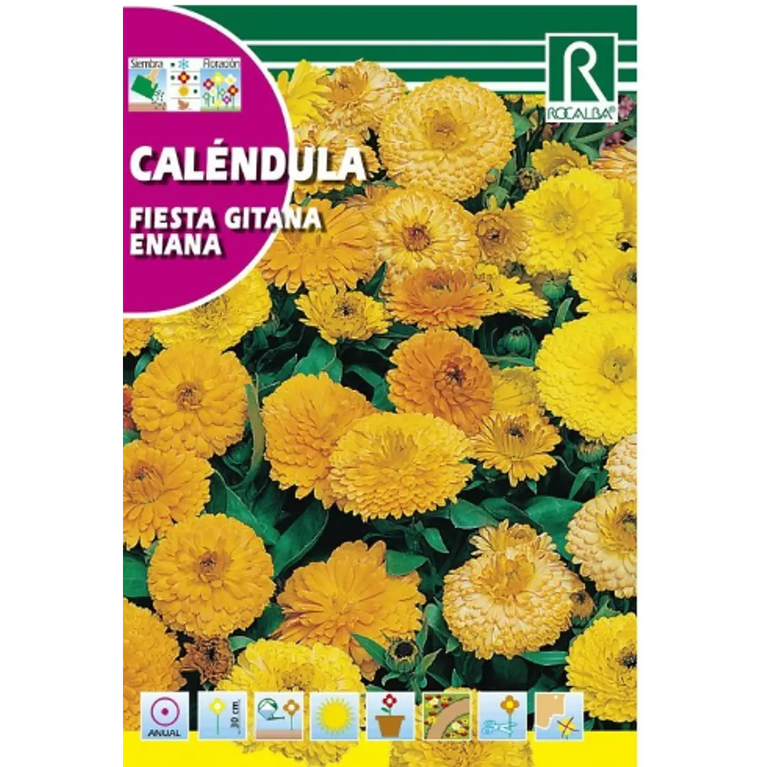 ROCALBA SEMILLA CALÉNDULA FIESTA 2