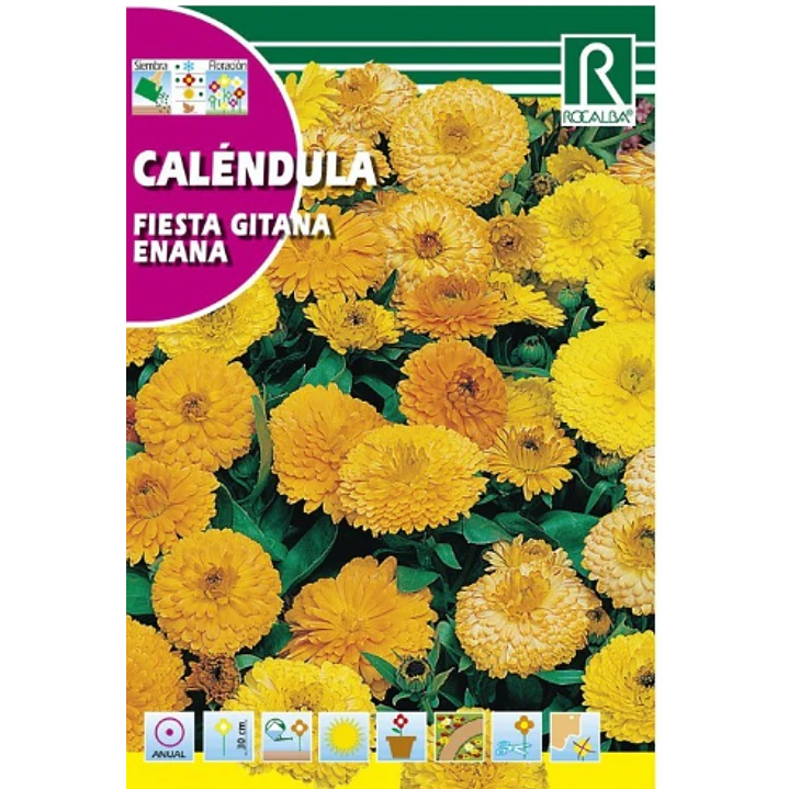 ROCALBA SEMILLA CALÉNDULA FIESTA 2