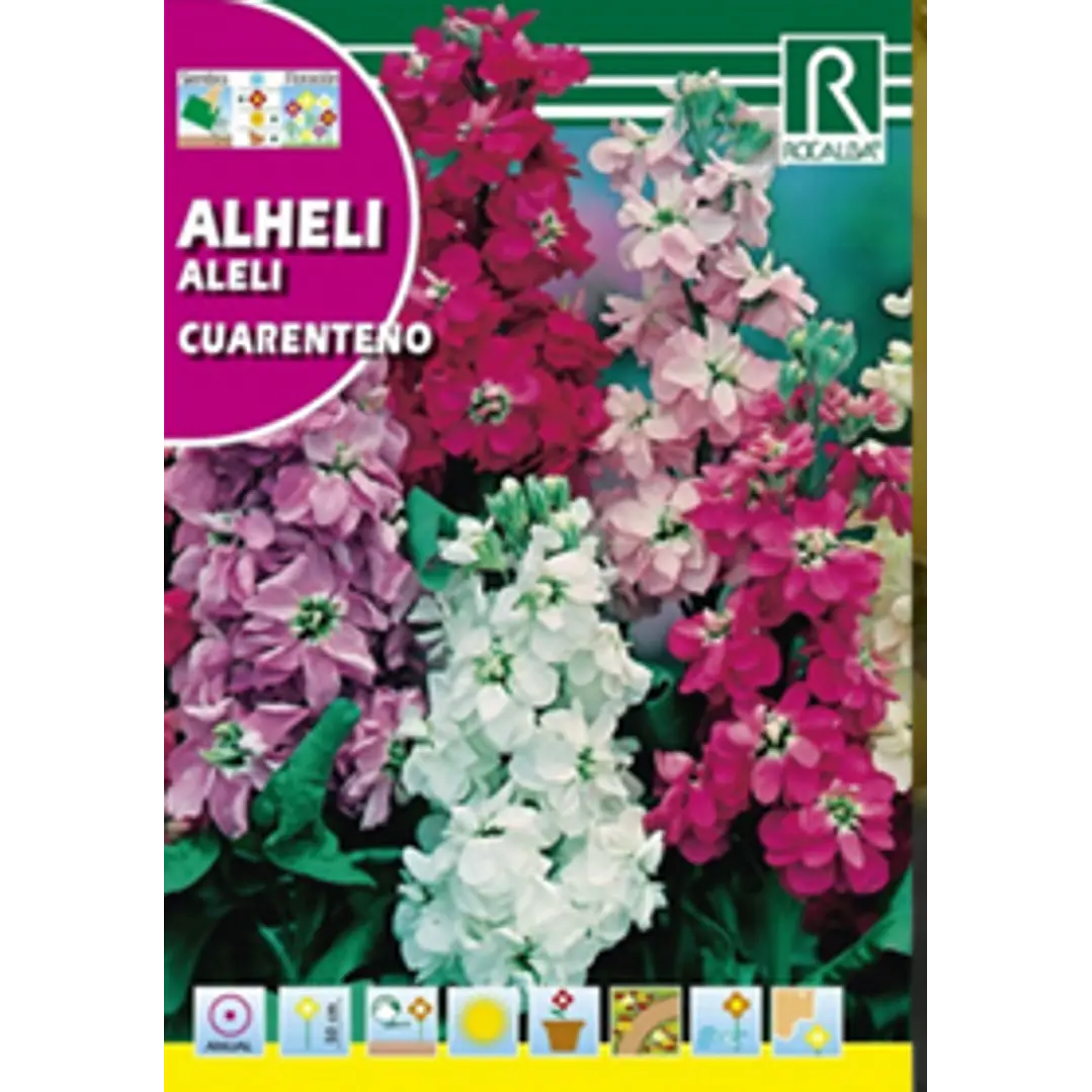 ROCALBA SEMILLA ALHELI VARIADO 2