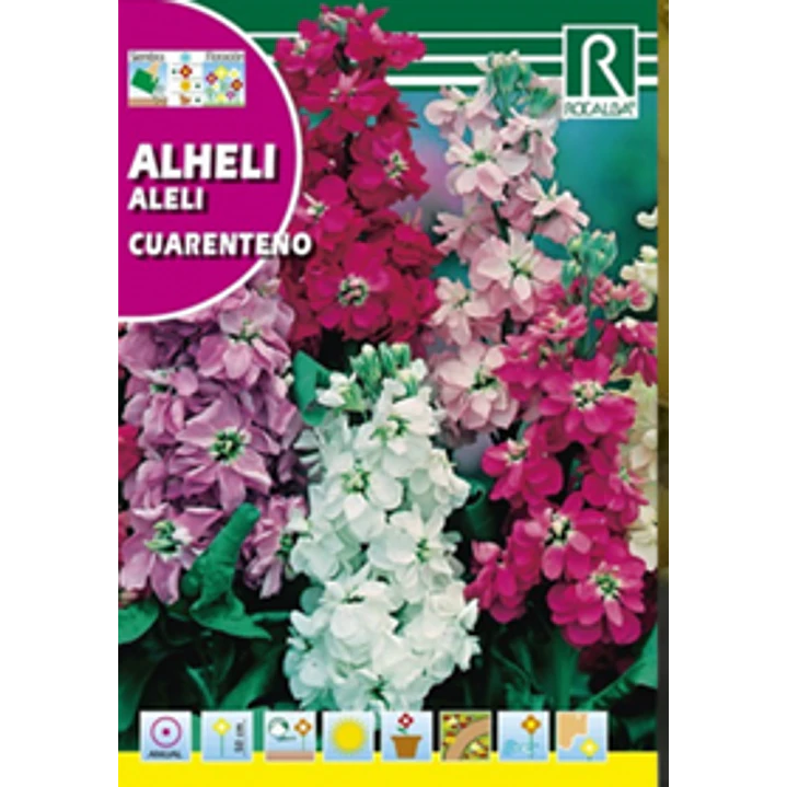 ROCALBA SEMILLA ALHELI VARIADO 2