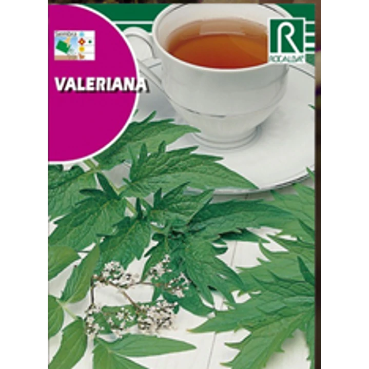 ROCALBA SEMILLA VALERIANA 2