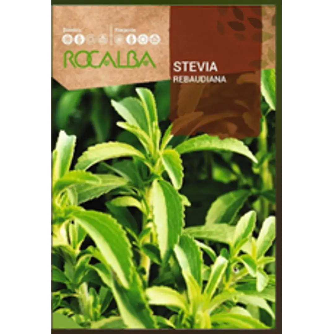 ROCALBA SEMILLA STEVIA 2