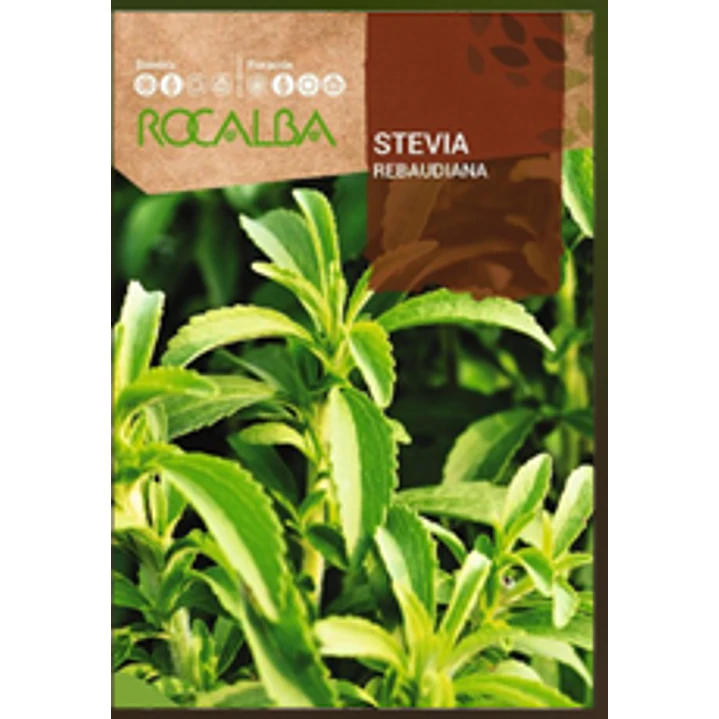 ROCALBA SEMILLA STEVIA 2
