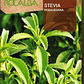 ROCALBA SEMILLA STEVIA 0.02 GRS / BEST GARDEN  - Miniatura 2