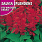 ROCALBA SALVIA SPLENDENS 0.5 GRS / BEST GARDENS  - Miniatura 2