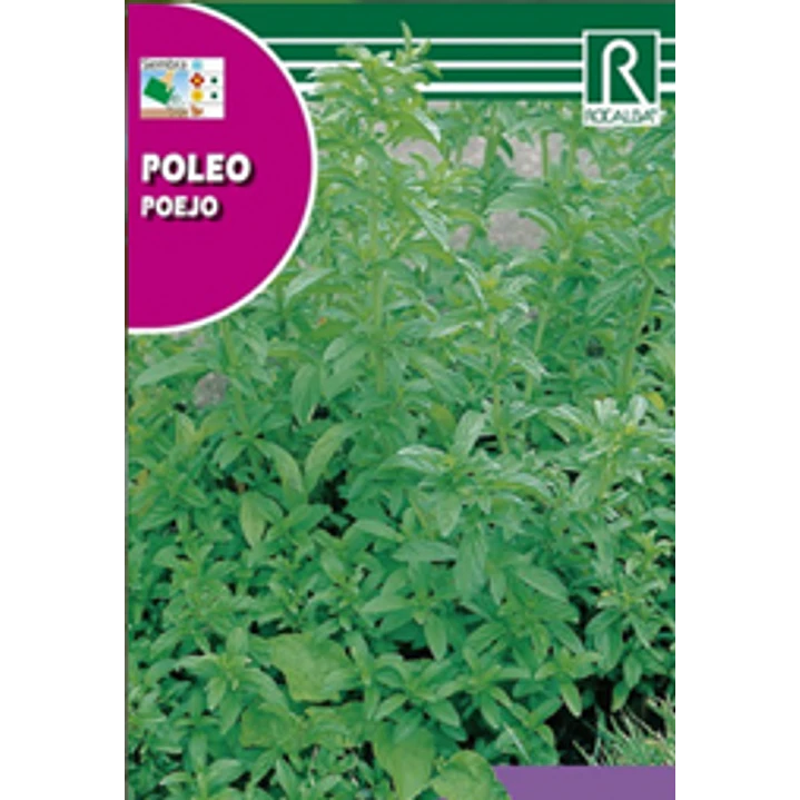 ROCALBA SEMILLA POLEO 2