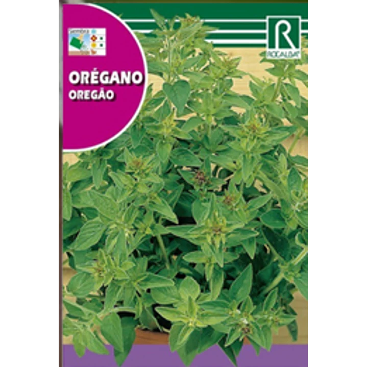 ROCALBA SEMILLA OREGANO 2