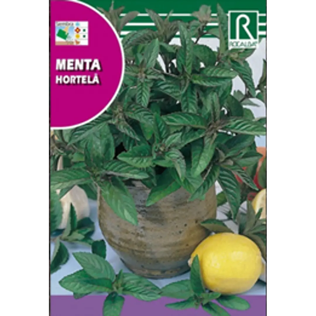ROCALBA SEMILLA MENTA 2