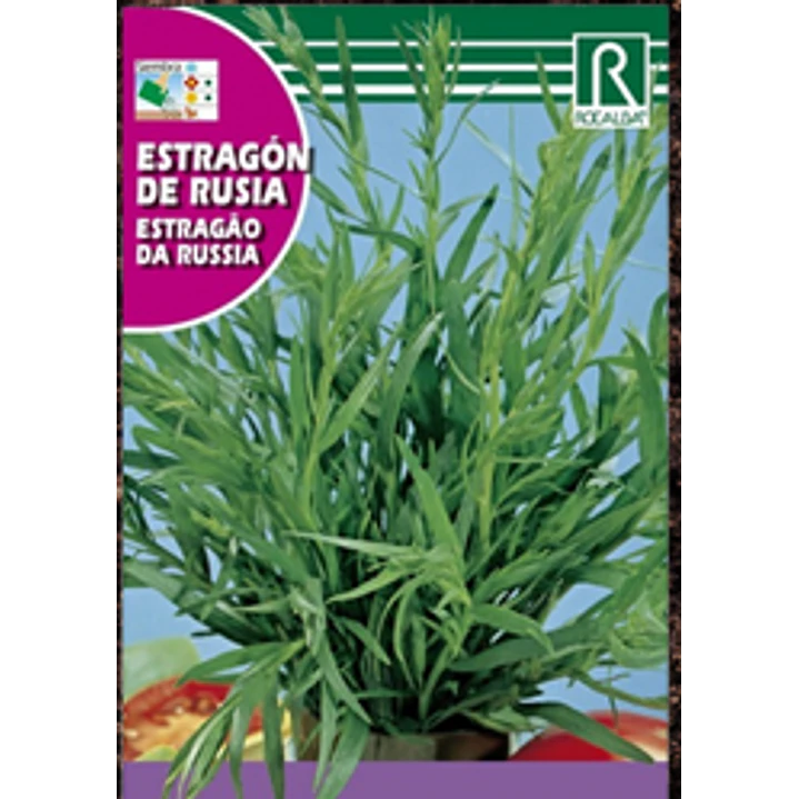 ROCALBA SEMILLAS ESTRAGON 2