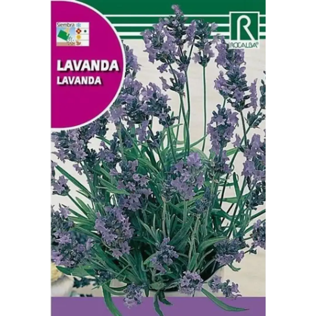 ROCALBA SEMILLA DE LAVANDA 2