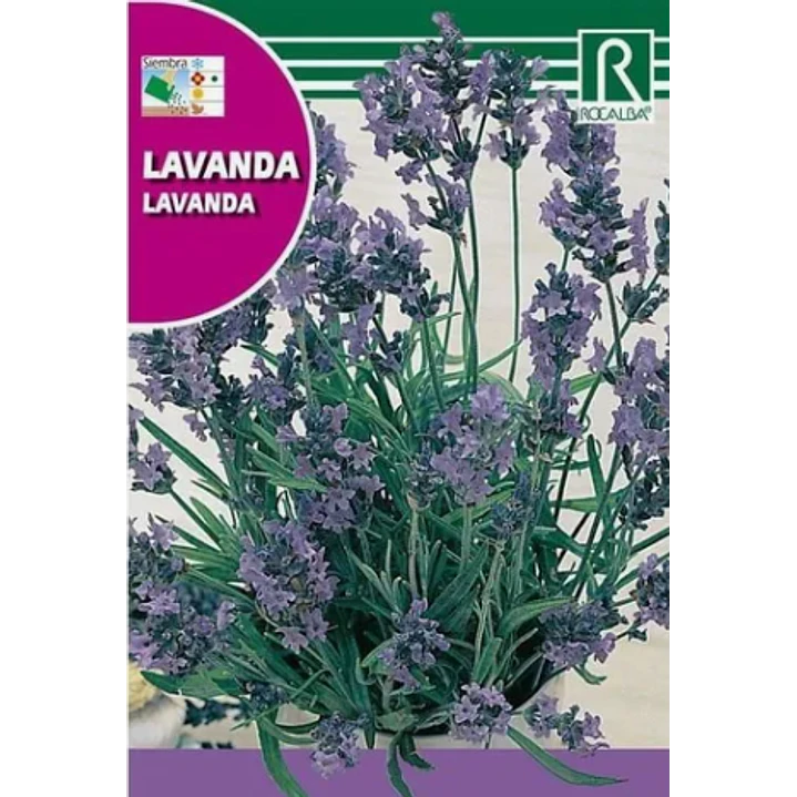 ROCALBA SEMILLA DE LAVANDA 2