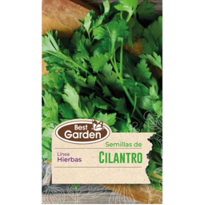 SEMILLA CILANTRO / BEST GARDEN  2