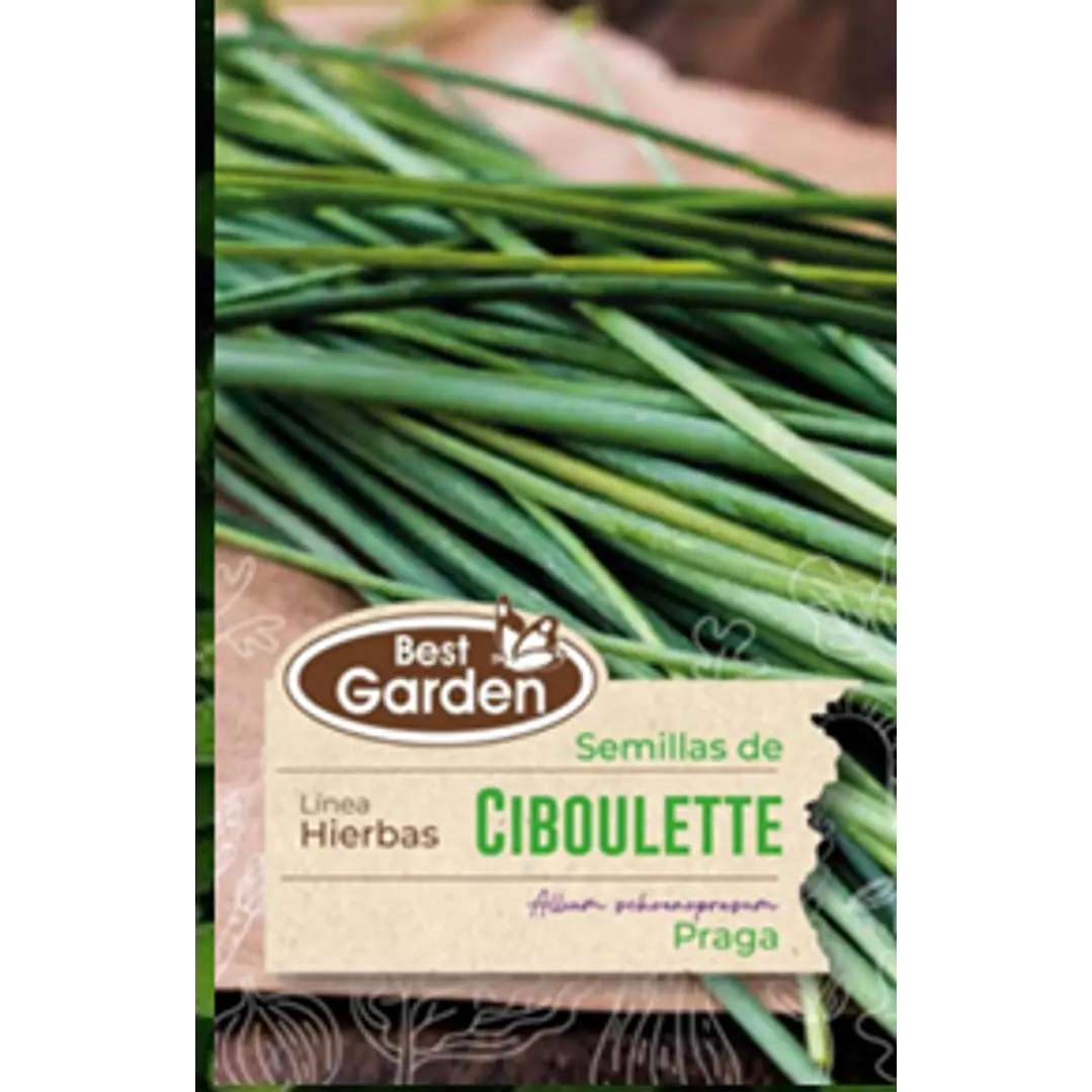 SEMILLA CIBOULETTE/ BEST GARDEN  2