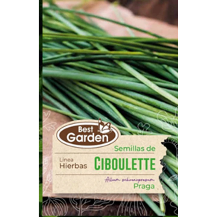 SEMILLA CIBOULETTE/ BEST GARDEN  2
