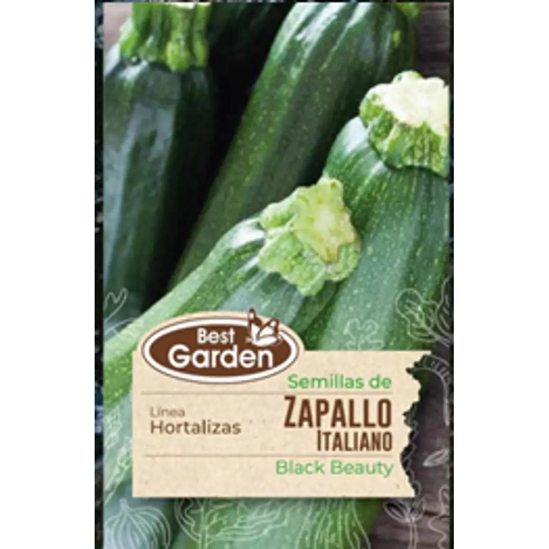 SEMILLA ZAPALLO ITALIANO  5 GRS / BEST GARDEN  2