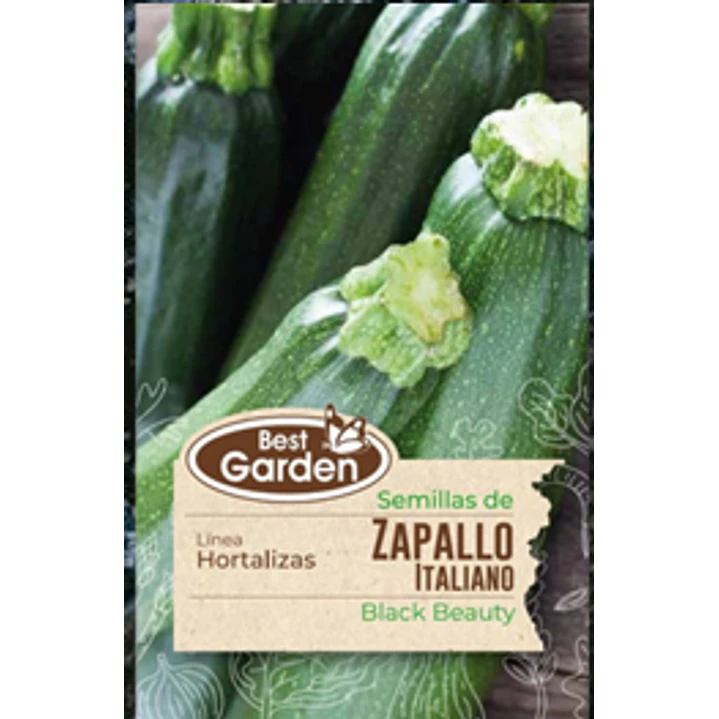 SEMILLA ZAPALLO ITALIANO  5 GRS / BEST GARDEN  2