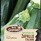 SEMILLA ZAPALLO ITALIANO  5 GRS / BEST GARDEN  - Miniatura 2