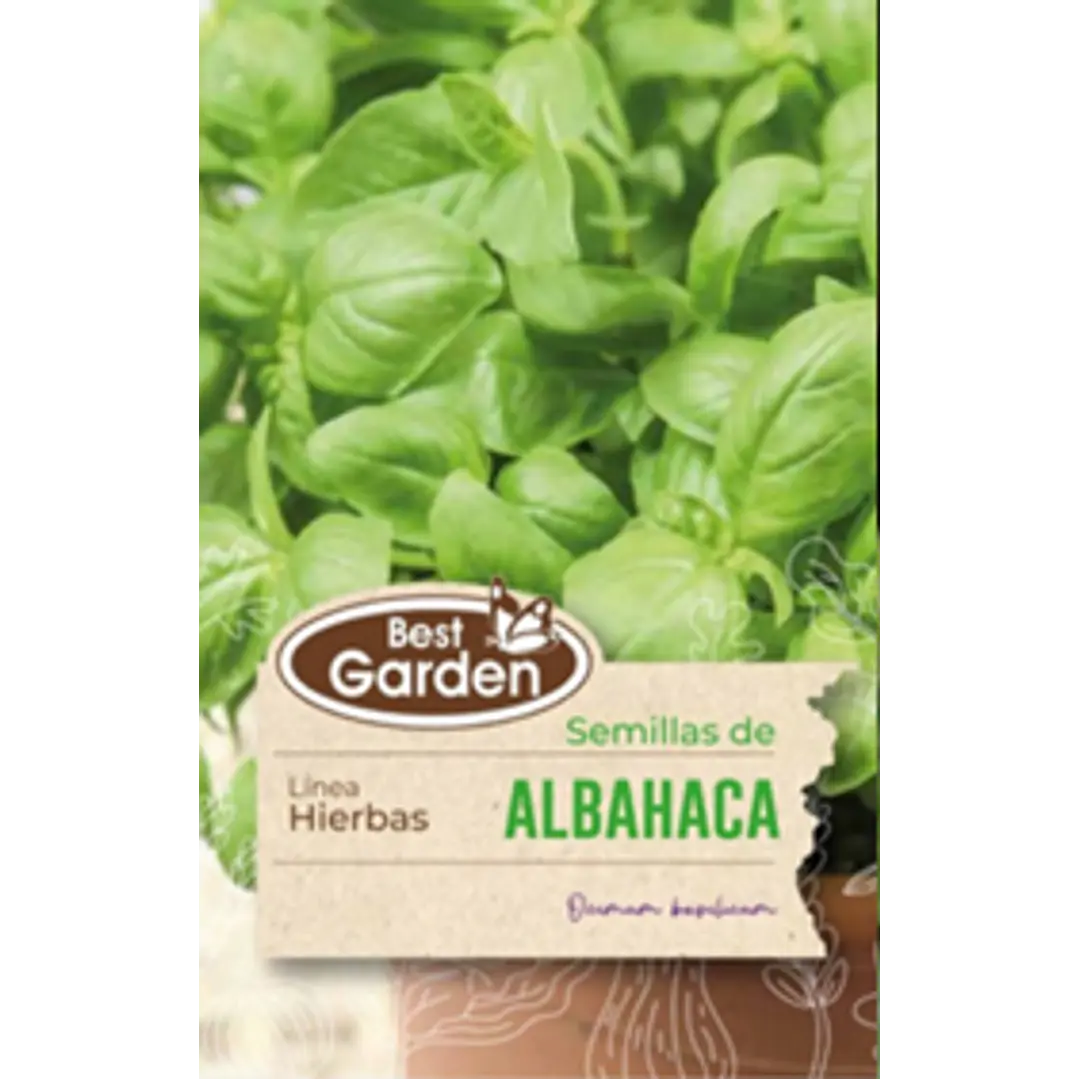 SEMILLA ALBAHACA 5 GRS / BEST GARDEN  2