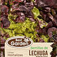 SEMILLA LECHUGA MORADA 5 GR/ BEST GARDEN  - Miniatura 2