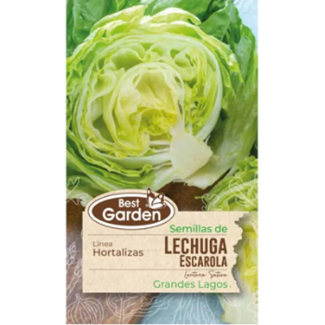 SEMILLA LECHUGA ESCAROLA 4 GR / BEST GARDEN  2