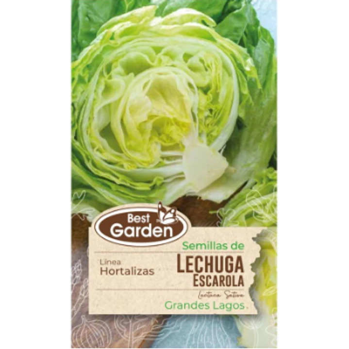 SEMILLA LECHUGA ESCAROLA 4 GR / BEST GARDEN  2