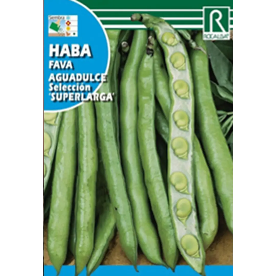 ROCALBA SEMILLA HABA 2