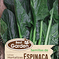 SEMILLA ESPINACA (GIGANTE DE INVIERNO)5 GRS /BEST GARDEN  - Miniatura 2