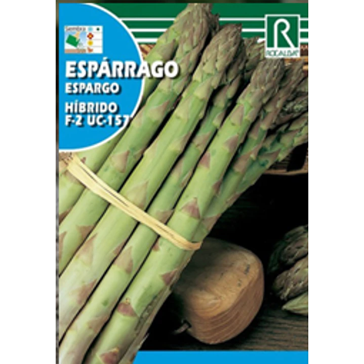 ROCALBA SEMILLA DE ESPARRAGO 2